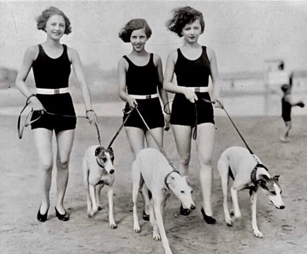 Three women in vintage swimsuits walking three dogs along a sandy beach.