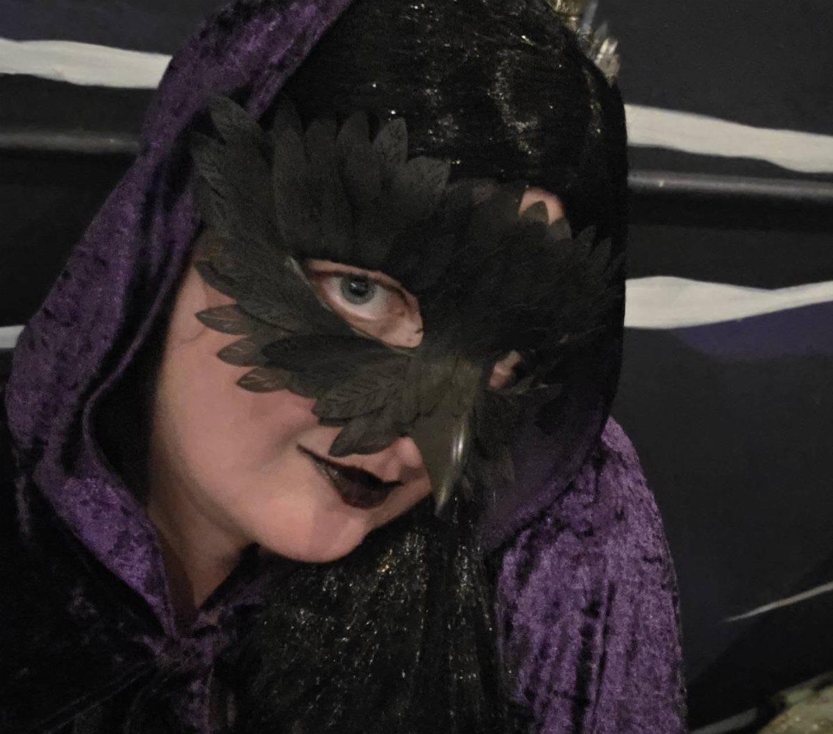A person wearing a black feathered mask and a purple velvet hooded cloak.